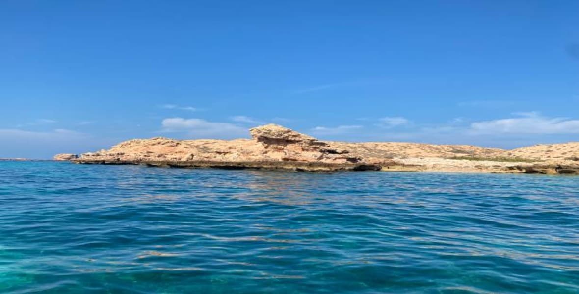 Al-Dimaniyat Islands Nature Reserve Scuba Diving Adventure